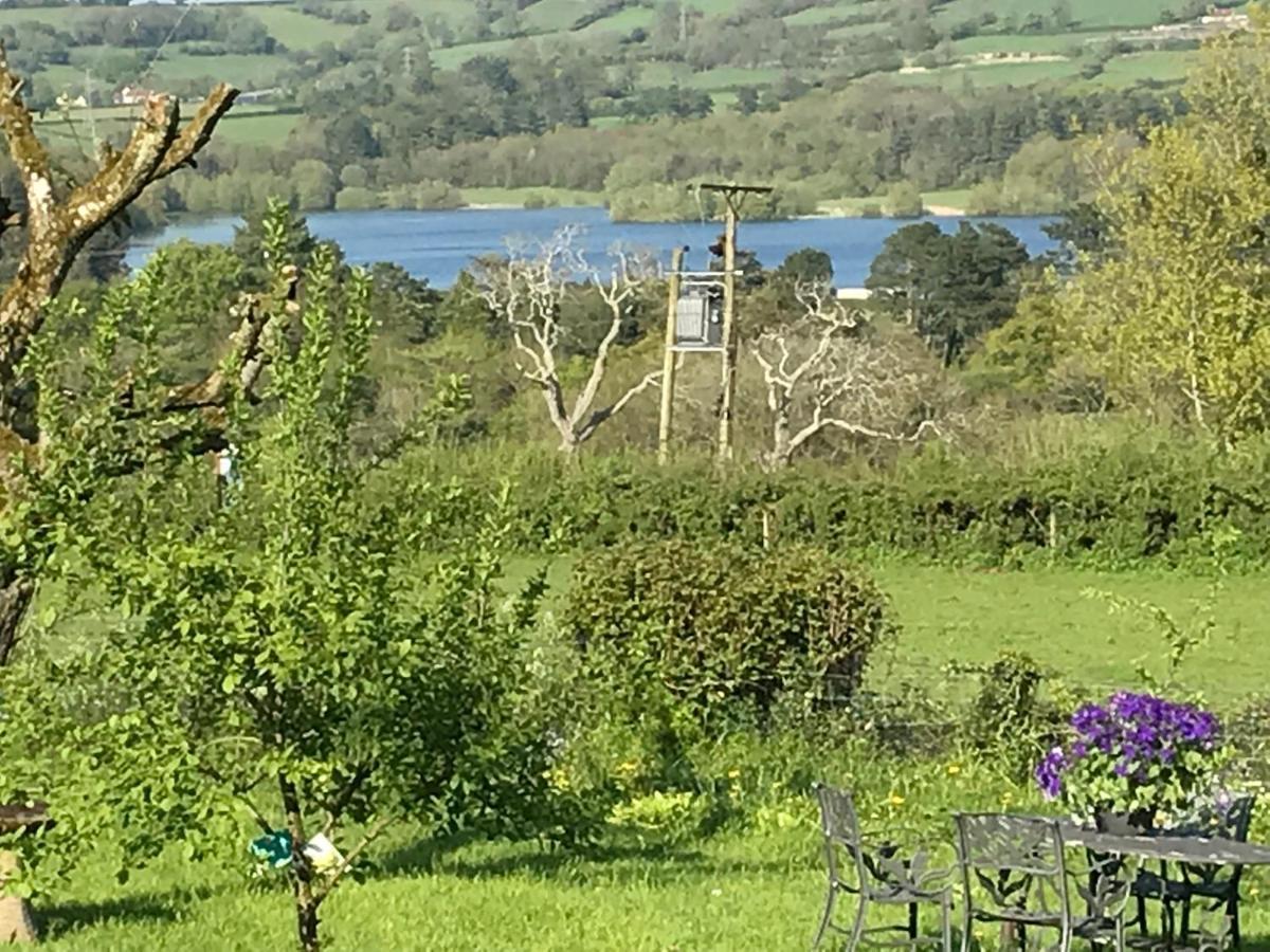 Blagdon Coombe Lodge Farm House المظهر الخارجي الصورة